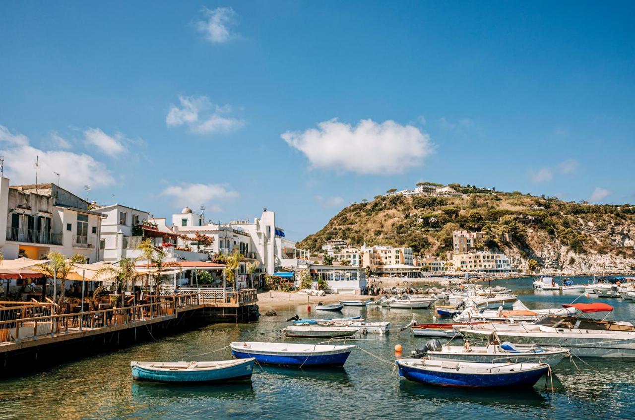 Lily's * Lacco Ameno (Isola d'Ischia)